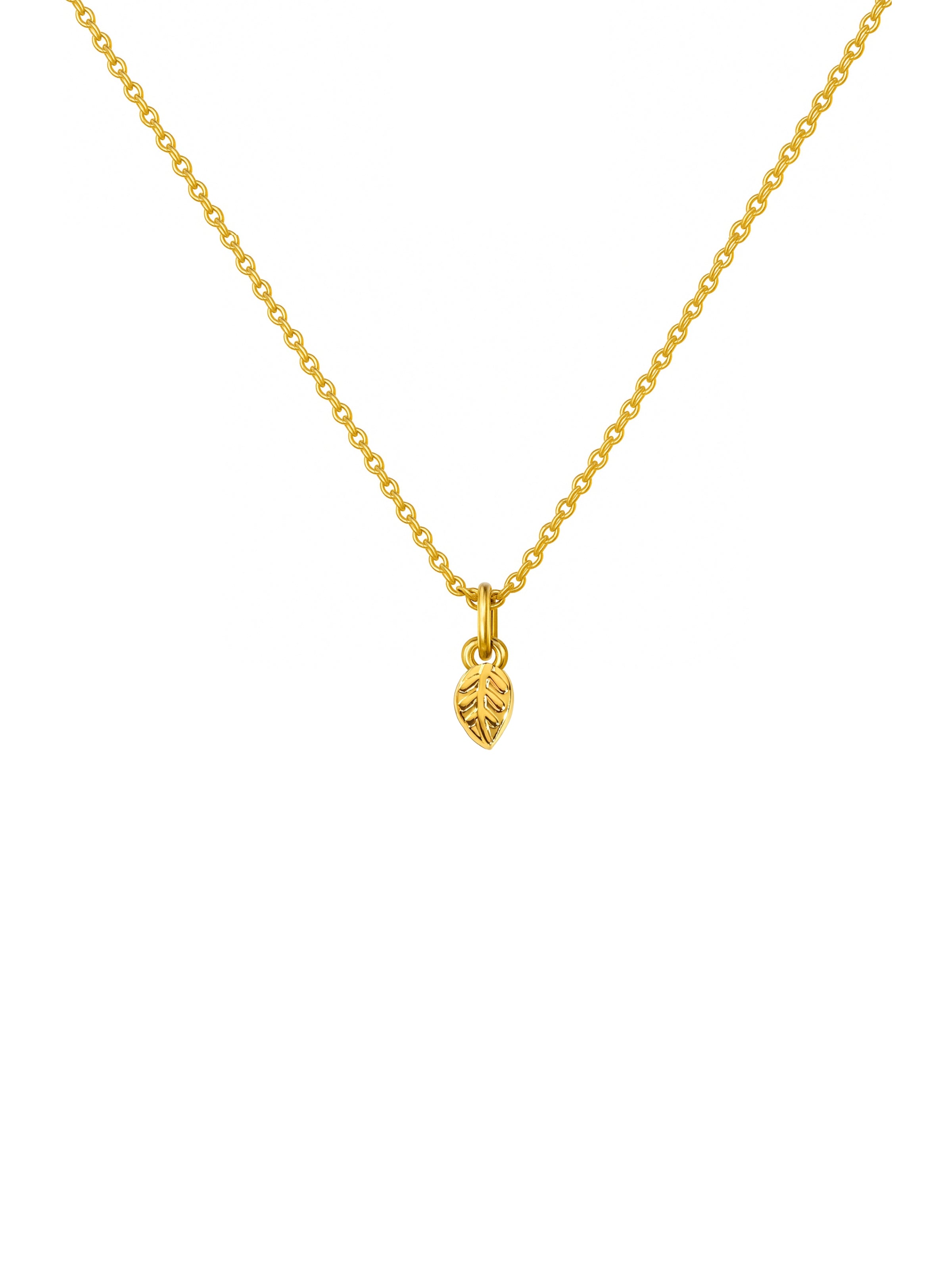 Colar Folha - Dourado